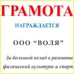 Благодарственное письмо 2006