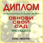 Диплом 2006